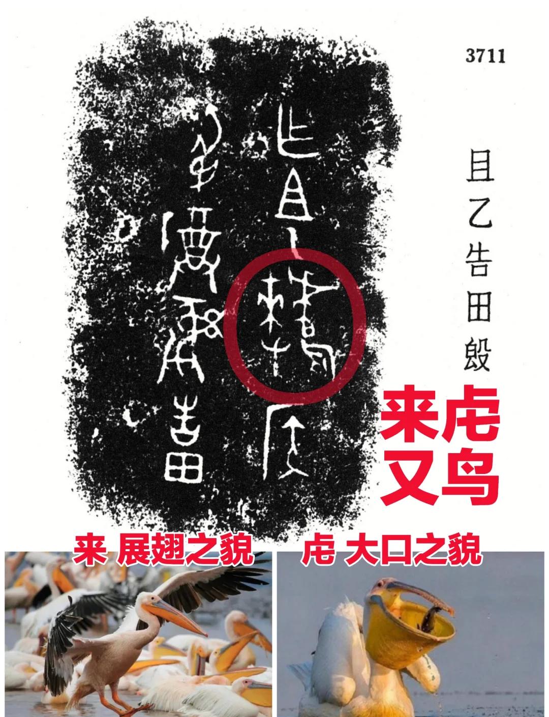 贝博网站 -_A